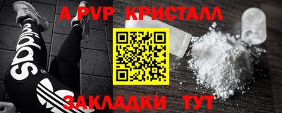 гашик Донской